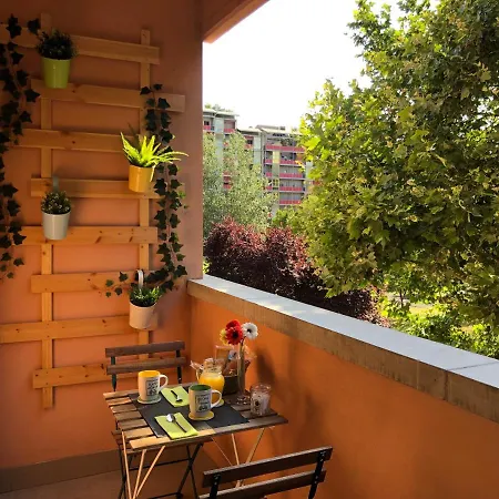 Area33 * Bolonia