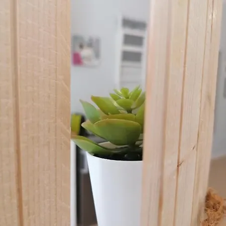 Area33 * בולוניה